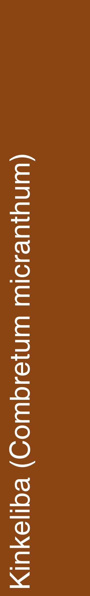 Étiquette de : Combretum micranthum - format c - style blanche30_basiquehel avec comestibilité
