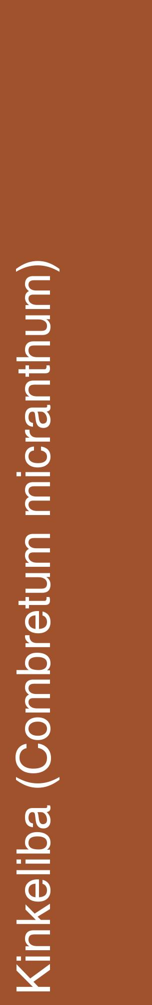 Étiquette de : Combretum micranthum - format c - style blanche32_basiquehel avec comestibilité