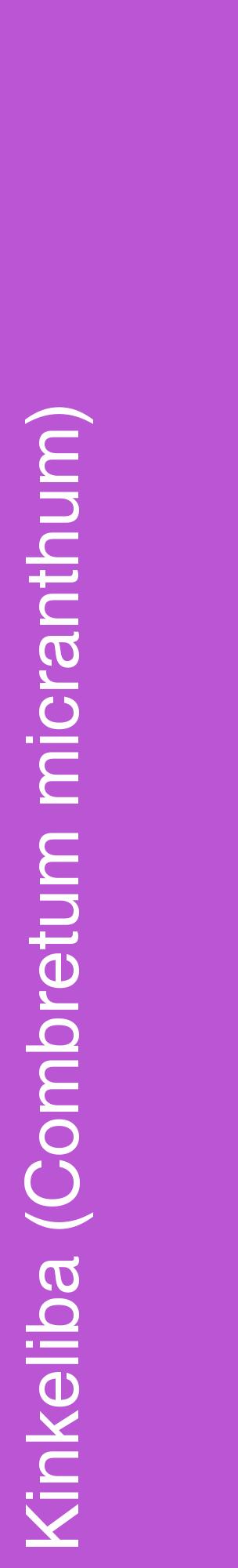 Étiquette de : Combretum micranthum - format c - style blanche50_basiquehel avec comestibilité