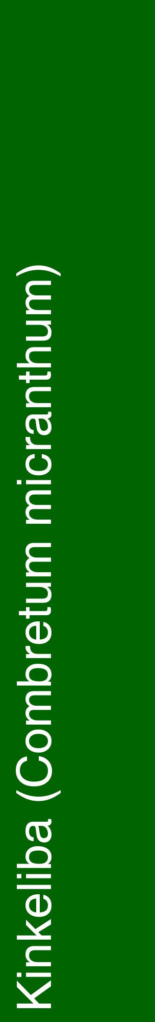 Étiquette de : Combretum micranthum - format c - style blanche8_basiquehel avec comestibilité