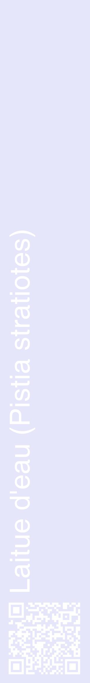 Étiquette de : Pistia stratiotes - format c - style blanche55_basiquehel avec qrcode et comestibilité