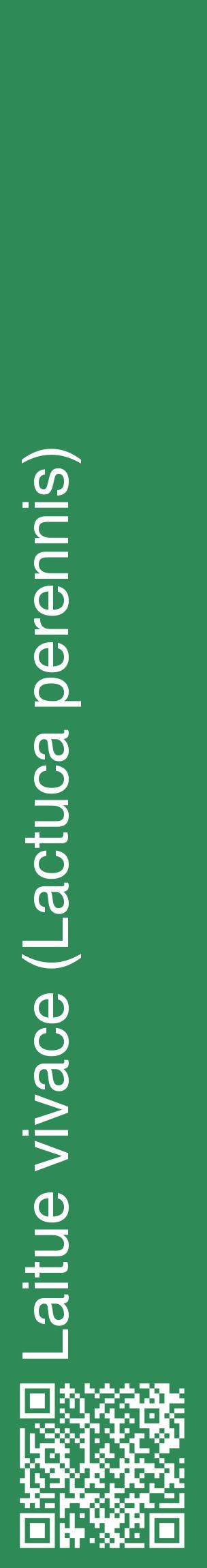 Étiquette de : Lactuca perennis - format c - style blanche11_basiquehel avec qrcode et comestibilité