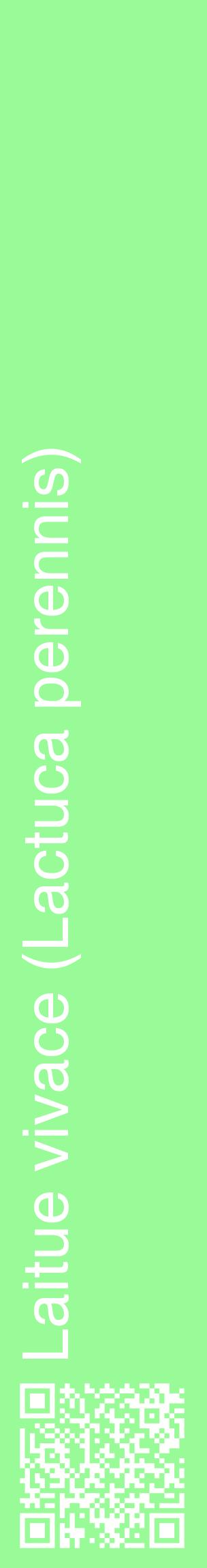 Étiquette de : Lactuca perennis - format c - style blanche14_basiquehel avec qrcode et comestibilité