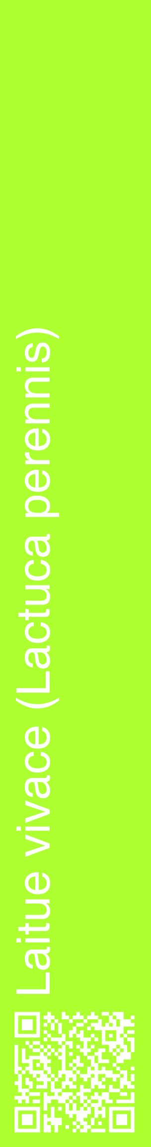 Étiquette de : Lactuca perennis - format c - style blanche17_basiquehel avec qrcode et comestibilité