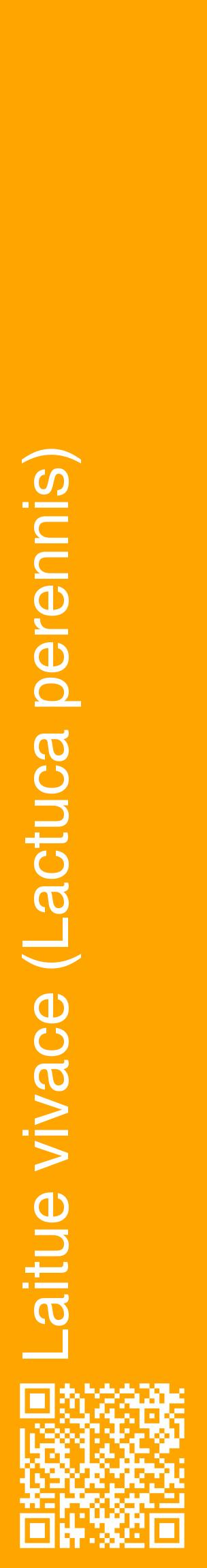 Étiquette de : Lactuca perennis - format c - style blanche22_basiquehel avec qrcode et comestibilité
