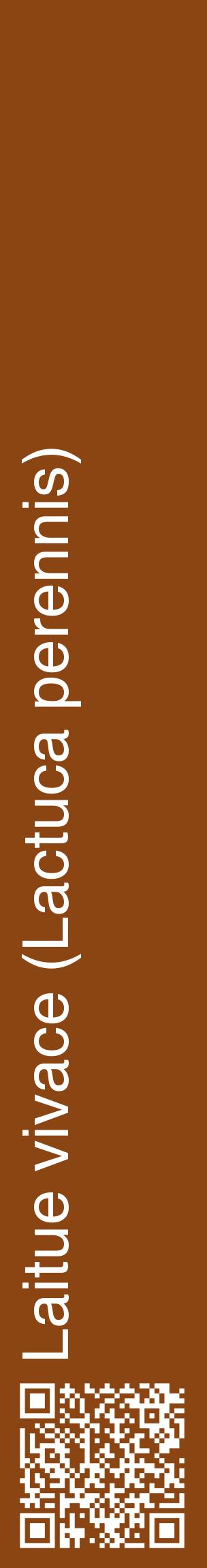 Étiquette de : Lactuca perennis - format c - style blanche30_basiquehel avec qrcode et comestibilité