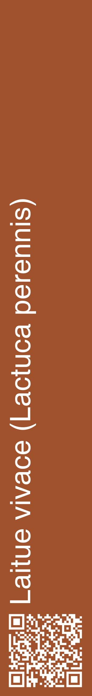 Étiquette de : Lactuca perennis - format c - style blanche32_basiquehel avec qrcode et comestibilité