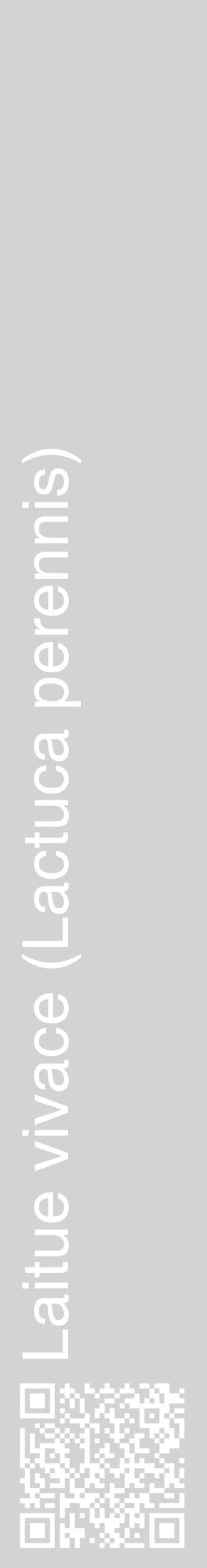 Étiquette de : Lactuca perennis - format c - style blanche56_basiquehel avec qrcode et comestibilité