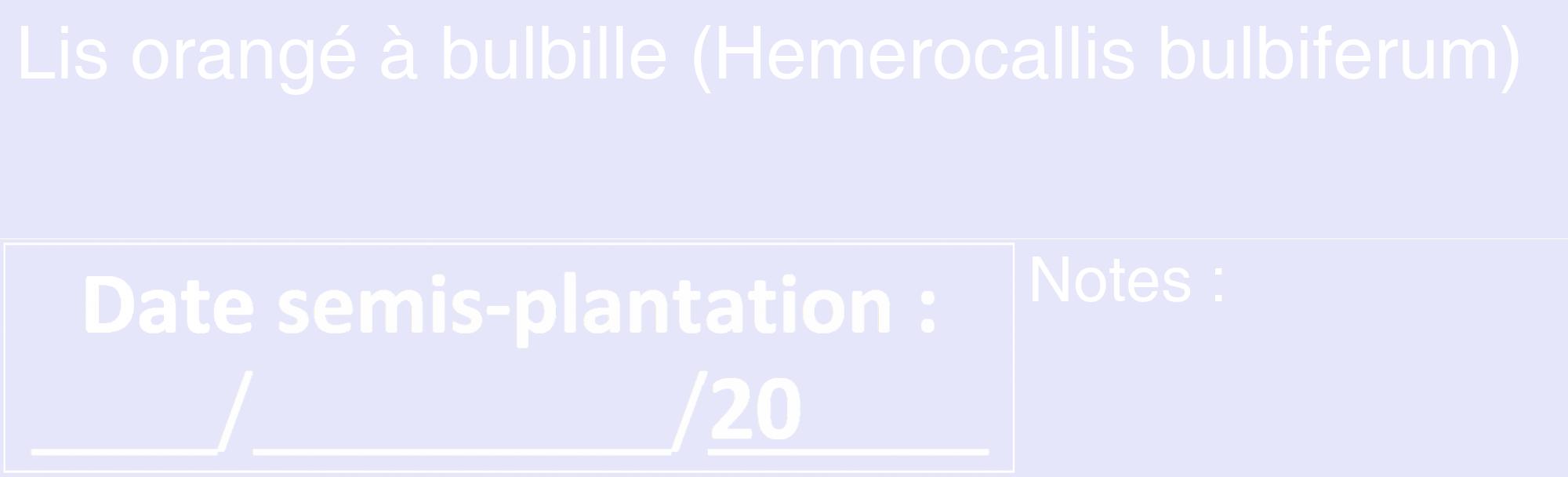 Étiquette de : Hemerocallis bulbiferum - format c - style blanche55_basique_basiquehel avec comestibilité