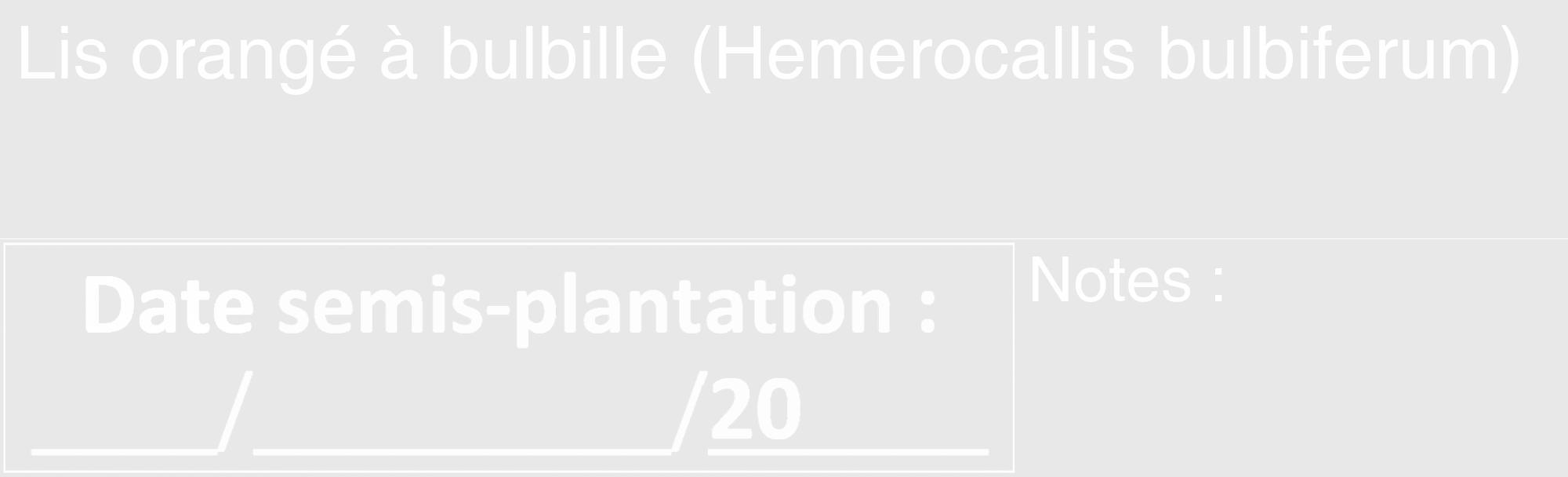 Étiquette de : Hemerocallis bulbiferum - format c - style blanche55_basique_basiquehel avec comestibilité
