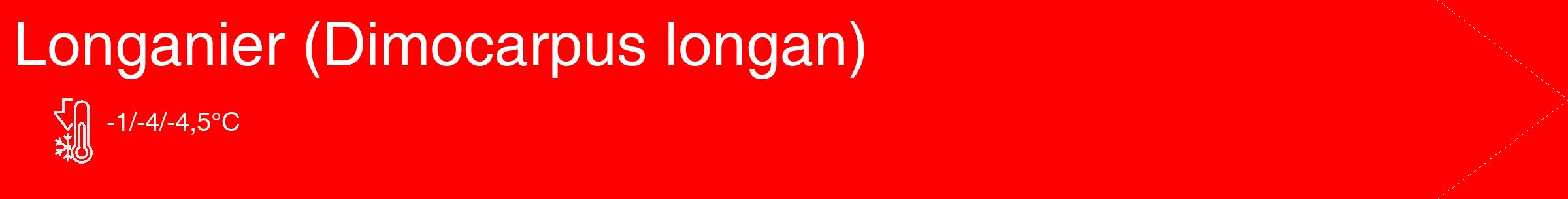 Étiquette de : Dimocarpus longan - format c - style blanche27_simple_simplehel avec comestibilité