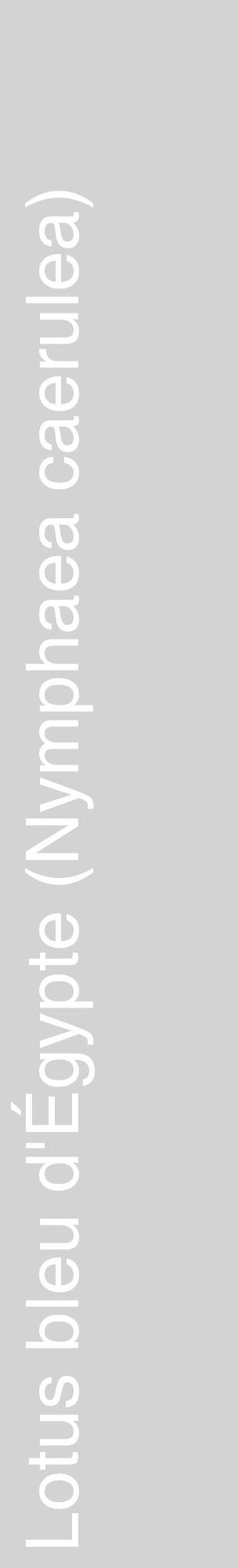 Étiquette de : Nymphaea caerulea - format c - style blanche56_basiquehel avec comestibilité