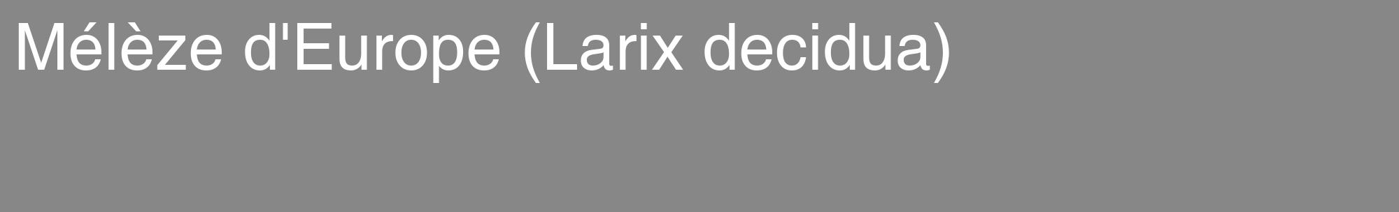 Étiquette de : Larix decidua - format c - style blanche12_basique_basiquehel avec comestibilité