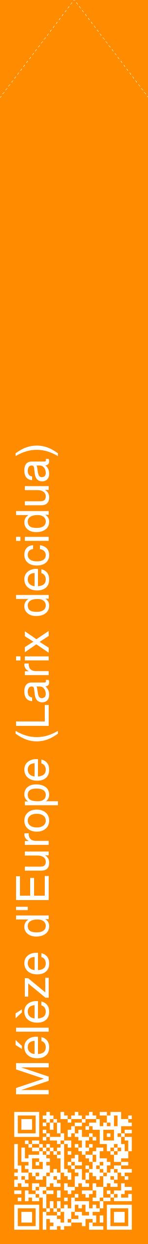 Étiquette de : Larix decidua - format c - style blanche23_simplehel avec qrcode et comestibilité