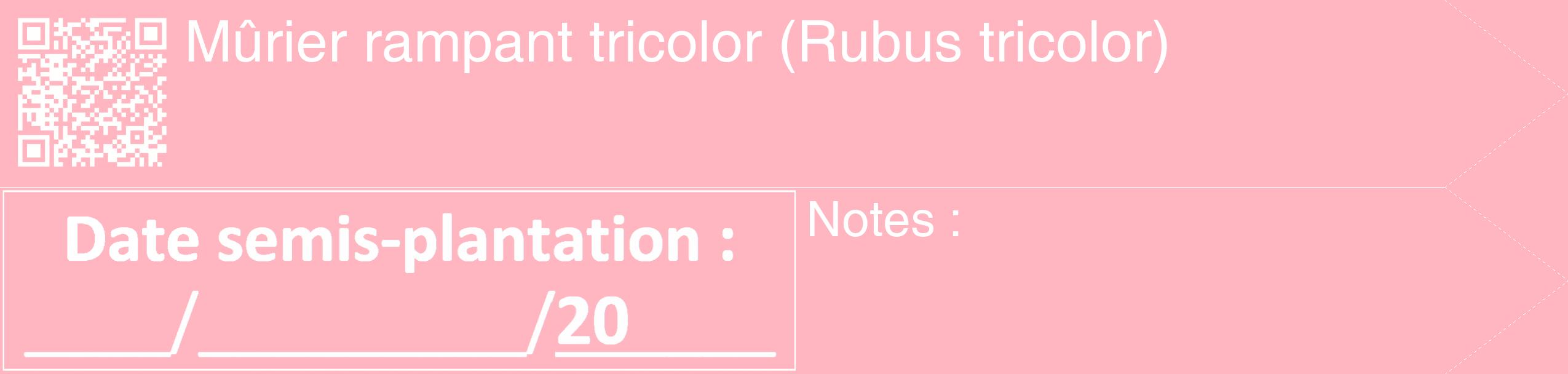 Étiquette de : Rubus tricolor - format c - style blanche41_simple_simplehel avec qrcode et comestibilité