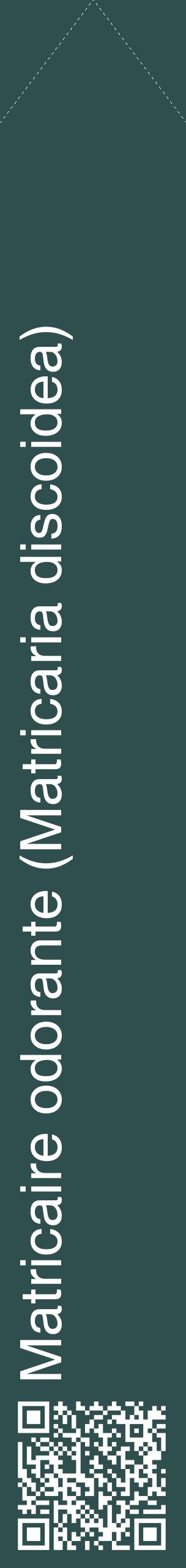 Étiquette de : Matricaria discoidea - format c - style blanche58_simplehel avec qrcode et comestibilité