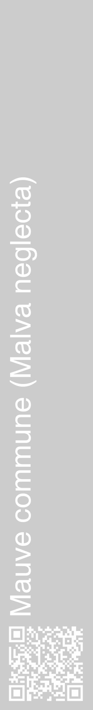 Étiquette de : Malva neglecta - format c - style blanche0_basique_basiquehel avec qrcode et comestibilité - position verticale
