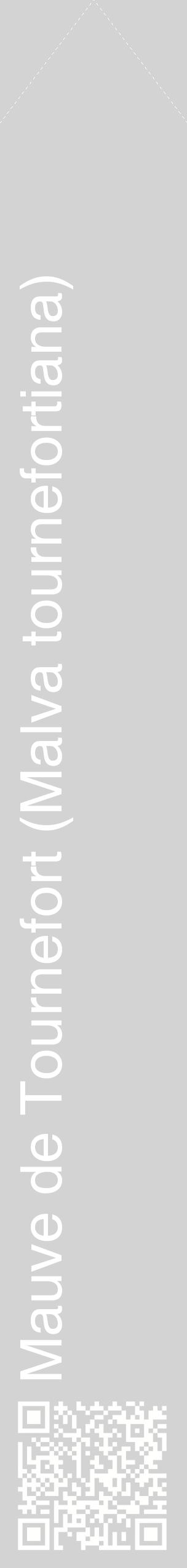 Étiquette de : Malva tournefortiana - format c - style blanche56_simplehel avec qrcode et comestibilité