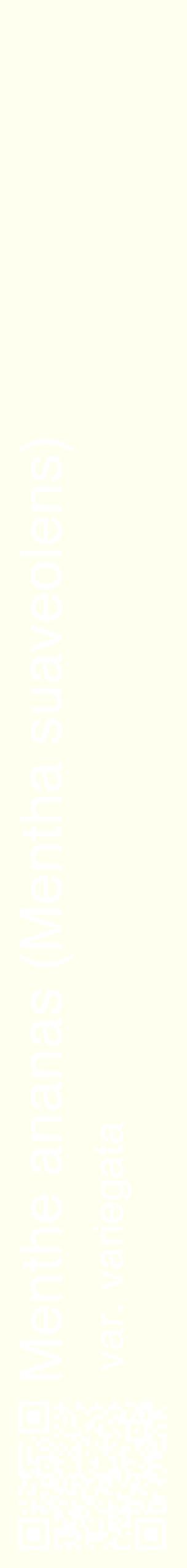 Étiquette de : Mentha suaveolens var. variegata - format c - style blanche19_simplehel avec qrcode et comestibilité