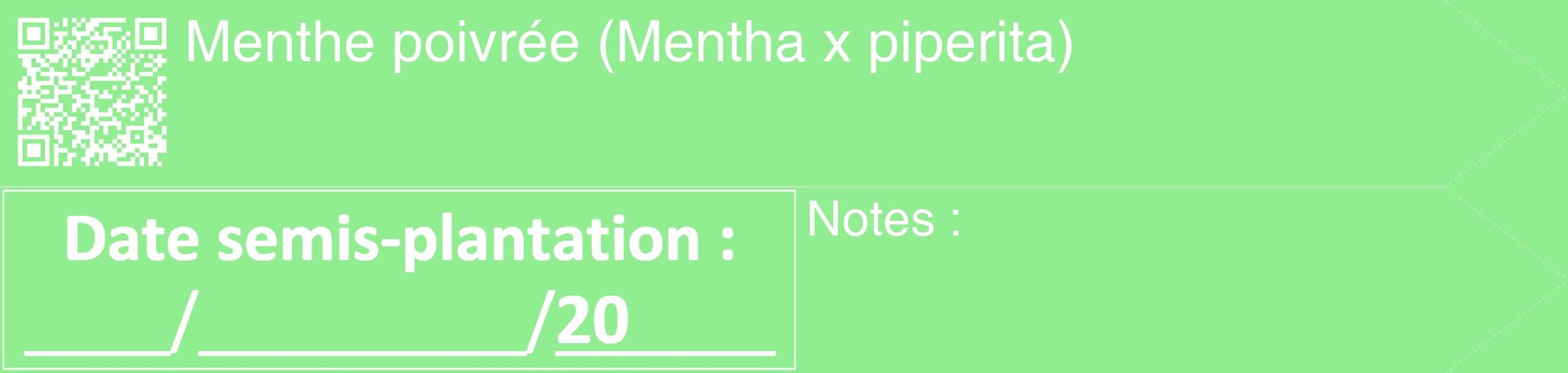 Étiquette de : Mentha x piperita - format c - style blanche15_simple_simplehel avec qrcode et comestibilité