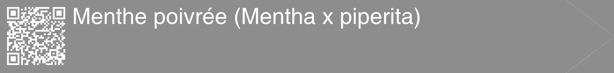 Étiquette de : Mentha x piperita - format c - style blanche2_simple_simplehel avec qrcode et comestibilité