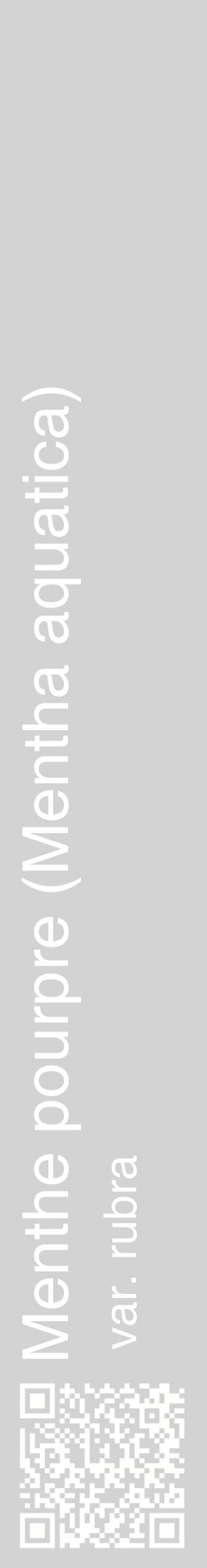 Étiquette de : Mentha aquatica var. rubra - format c - style blanche56_basiquehel avec qrcode et comestibilité