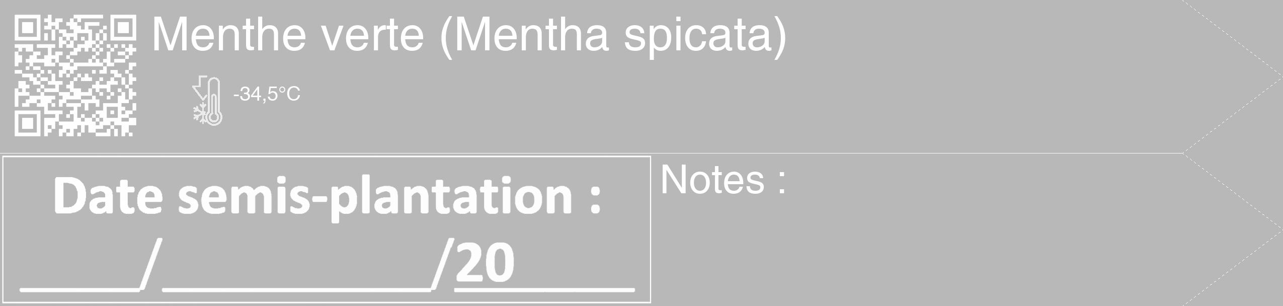 Étiquette de : Mentha spicata - format c - style blanche39_simple_simplehel avec qrcode et comestibilité