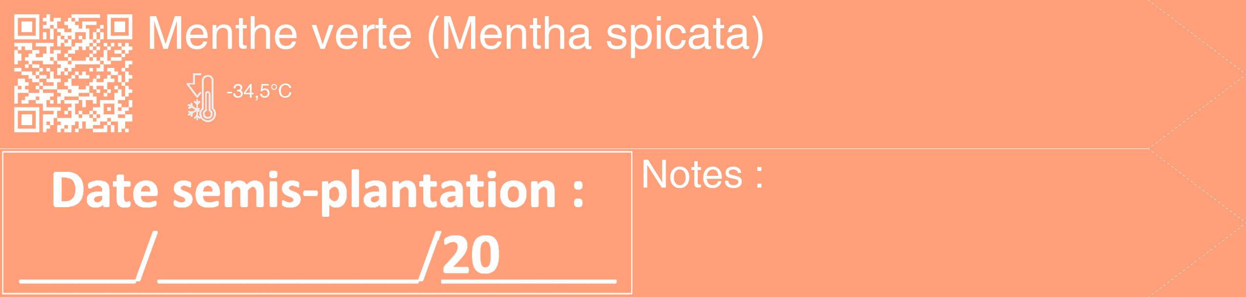 Étiquette de : Mentha spicata - format c - style blanche39_simple_simplehel avec qrcode et comestibilité