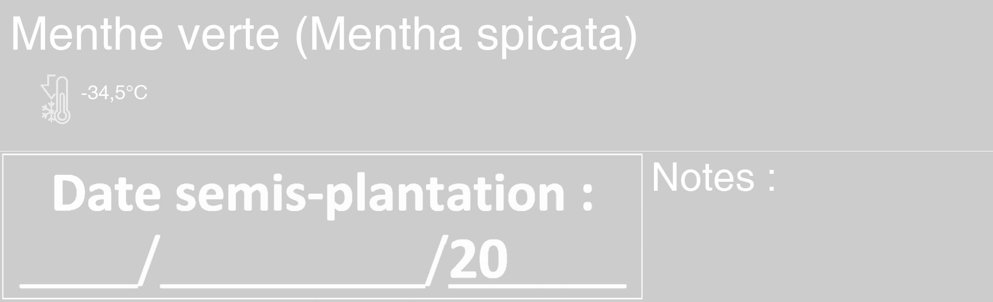 Étiquette de : Mentha spicata - format c - style blanche0_basique_basiquehel avec comestibilité