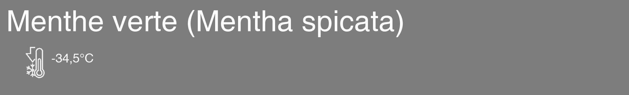 Étiquette de : Mentha spicata - format c - style blanche35_basique_basiquehel avec comestibilité