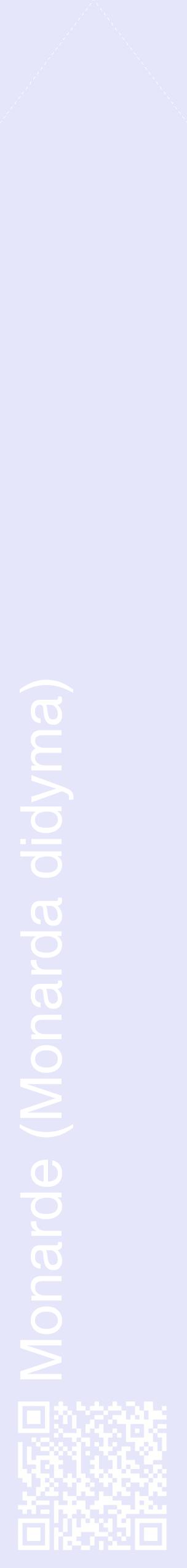 Étiquette de : Monarda didyma - format c - style blanche55_simplehel avec qrcode et comestibilité