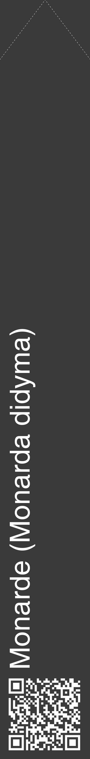 Étiquette de : Monarda didyma - format c - style blanche8_simple_simplehel avec qrcode et comestibilité - position verticale