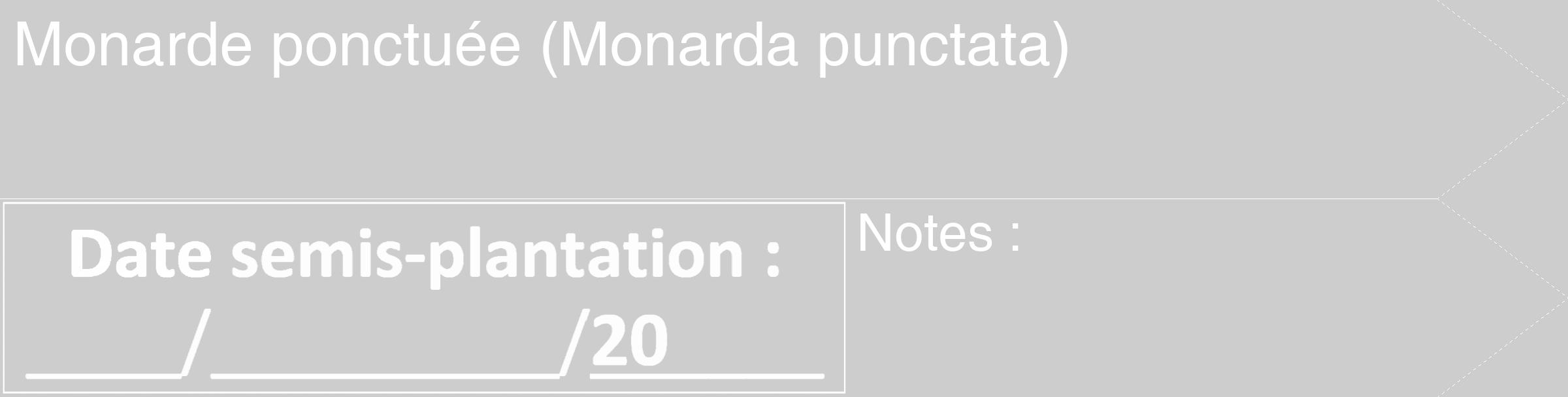 Étiquette de : Monarda punctata - format c - style blanche41_simple_simplehel avec comestibilité