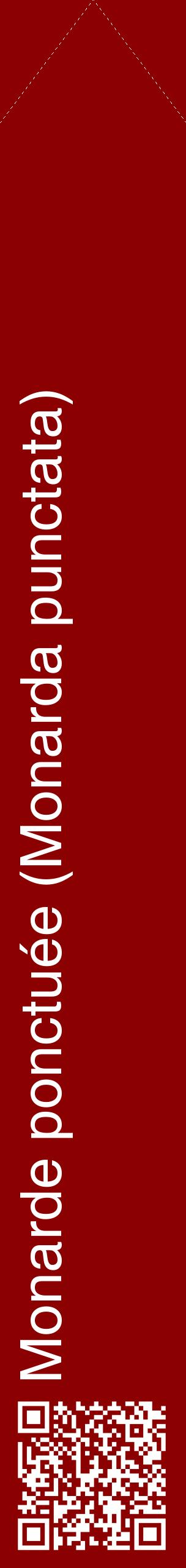 Étiquette de : Monarda punctata - format c - style blanche34_simplehel avec qrcode et comestibilité
