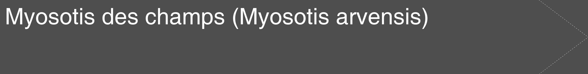 Étiquette de : Myosotis arvensis - format c - style blanche33_simple_simplehel avec comestibilité