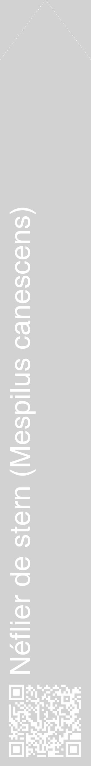 Étiquette de : Mespilus canescens - format c - style blanche14_simple_simplehel avec qrcode et comestibilité - position verticale