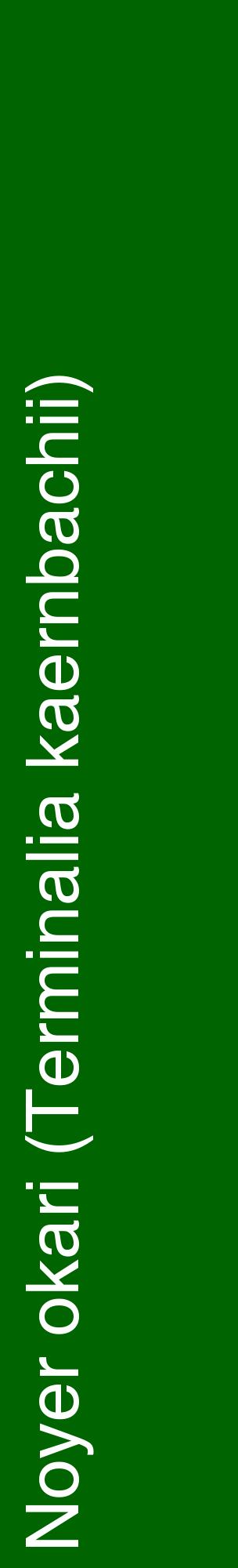 Étiquette de : Terminalia kaernbachii - format c - style blanche8_basiquehel avec comestibilité