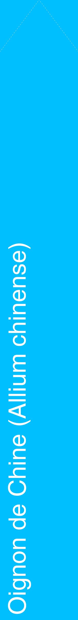 Étiquette de : Allium chinense - format c - style blanche2_simplehel avec comestibilité