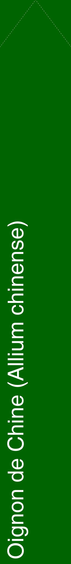 Étiquette de : Allium chinense - format c - style blanche8_simplehel avec comestibilité