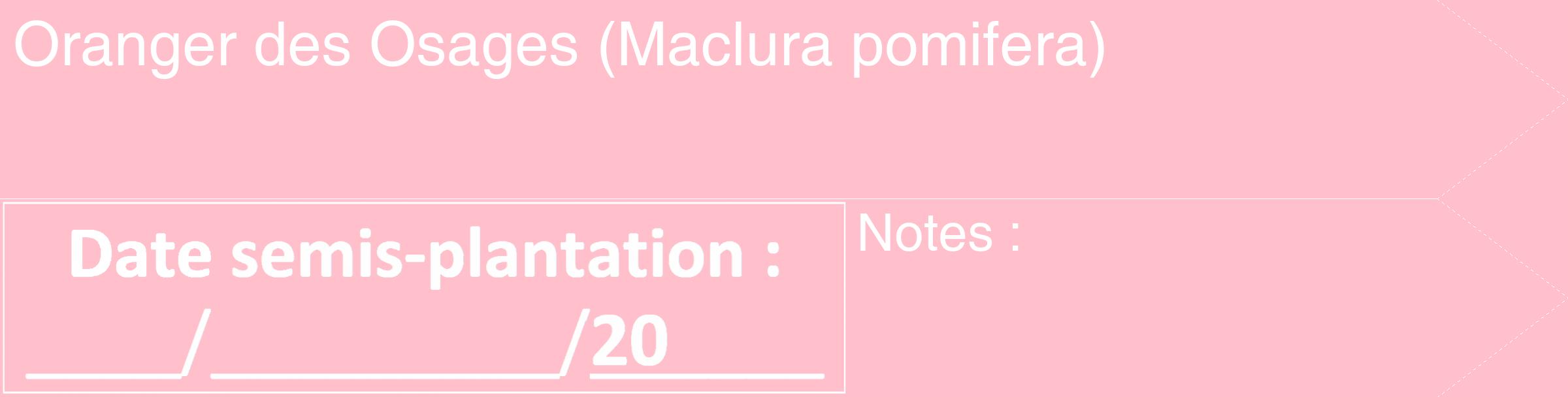 Étiquette de : Maclura pomifera - format c - style blanche40_simple_simplehel avec comestibilité