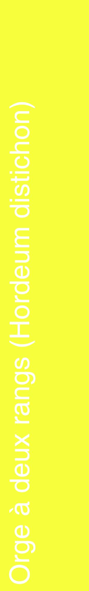 Étiquette de : Hordeum distichon - format c - style blanche18_basiquehel avec comestibilité