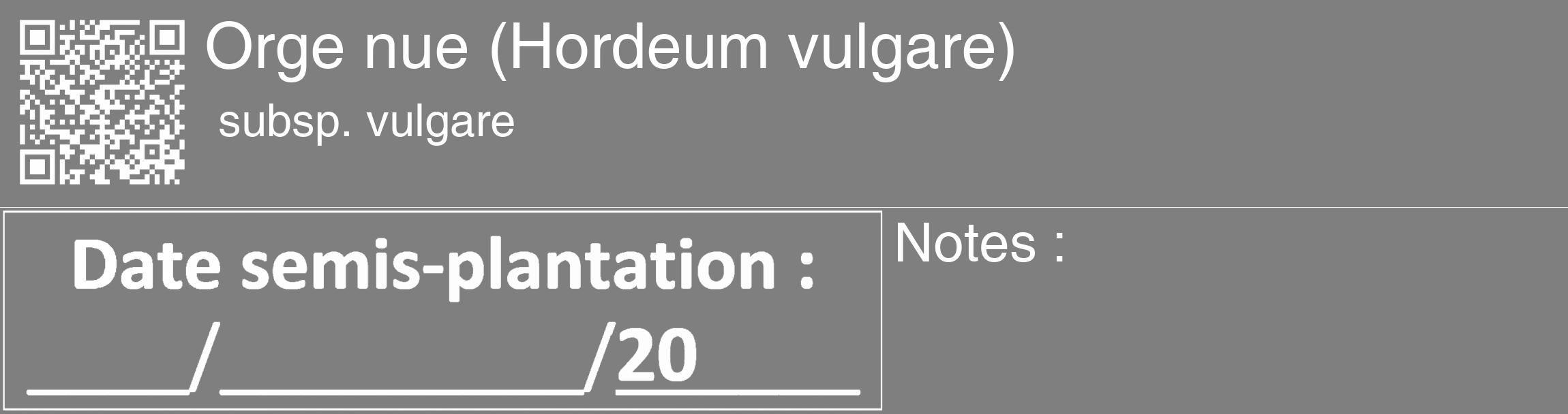 Étiquette de : Hordeum vulgare subsp. vulgare - format c - style blanche31_basique_basiquehel avec qrcode et comestibilité