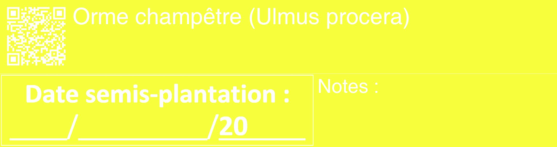 Étiquette de : Ulmus procera - format c - style blanche18_basique_basiquehel avec qrcode et comestibilité