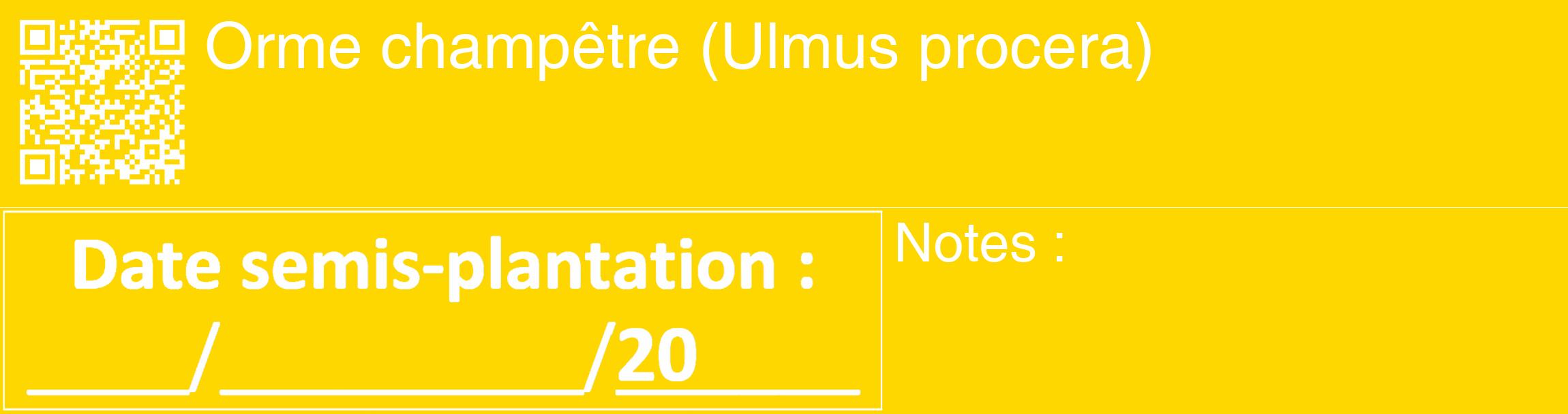 Étiquette de : Ulmus procera - format c - style blanche21_basique_basiquehel avec qrcode et comestibilité