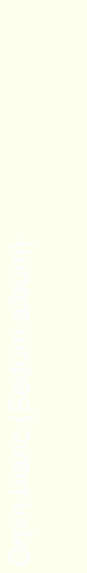 Étiquette de : Sedum album - format c - style blanche19_basiquehel avec comestibilité