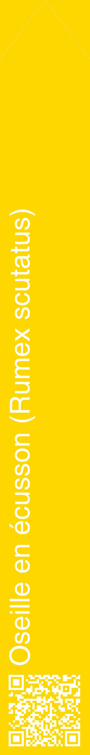 Étiquette de : Rumex scutatus - format c - style blanche21_simplehel avec qrcode et comestibilité