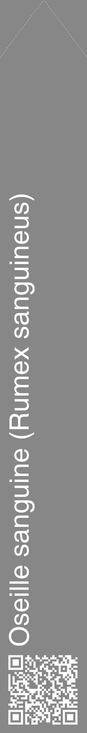 Étiquette de : Rumex sanguineus - format c - style blanche12_simple_simplehel avec qrcode et comestibilité - position verticale
