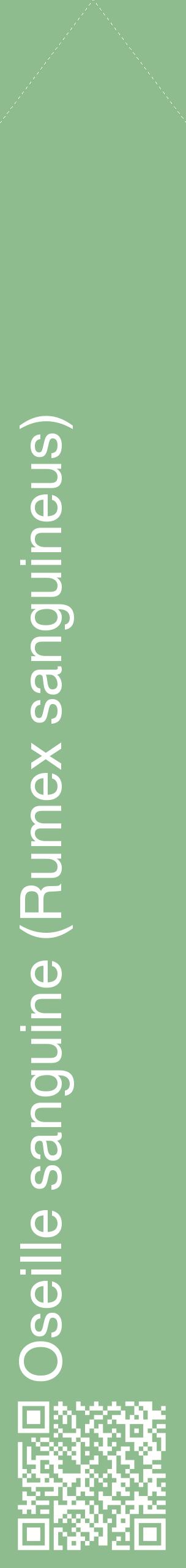 Étiquette de : Rumex sanguineus - format c - style blanche13_simplehel avec qrcode et comestibilité