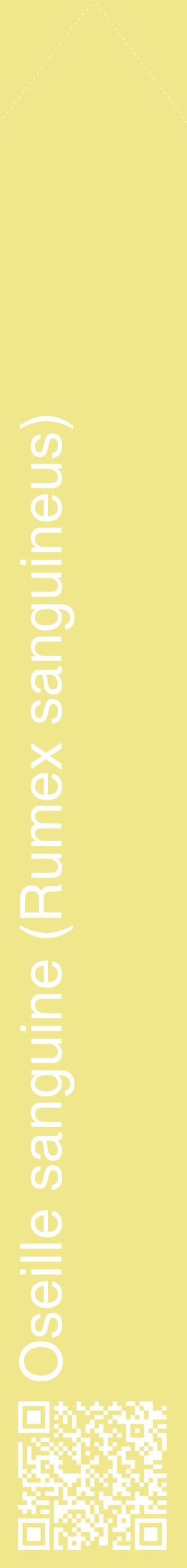 Étiquette de : Rumex sanguineus - format c - style blanche20_simplehel avec qrcode et comestibilité