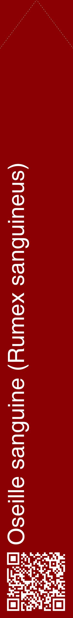 Étiquette de : Rumex sanguineus - format c - style blanche34_simplehel avec qrcode et comestibilité
